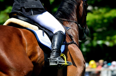 Side view of a cropped jockey and horse