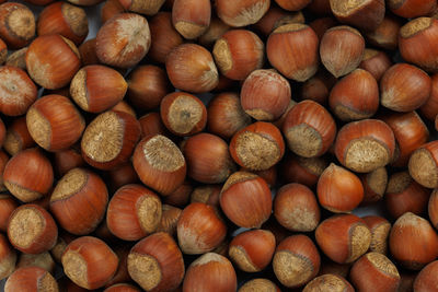 A pile of hazelnuts with shells full-frame close-up background
