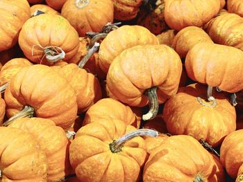 Full frame shot of pumpkins in market