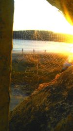 Close-up of spider web on landscape against sky