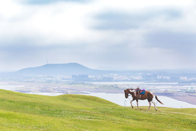 People riding horse on field against sky