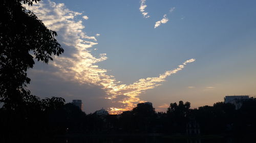 Low angle view of silhouette trees against sky