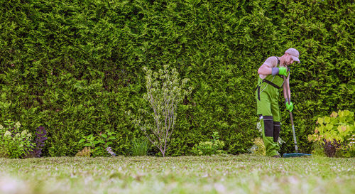 Gardener working at lawn