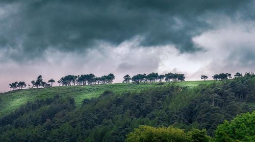 Panoramic view of agricultural field against sky