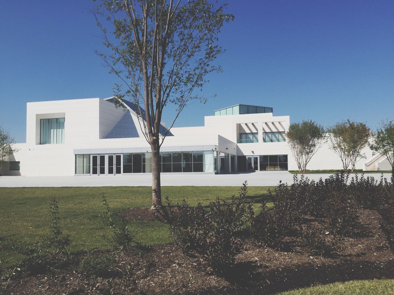 building exterior, architecture, built structure, clear sky, tree, blue, grass, house, sunlight, residential structure, day, shadow, growth, bare tree, sky, residential building, lawn, no people, field, plant