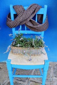 High angle view of potted plants on table