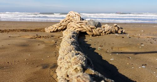 Surface level of sand on beach against sky