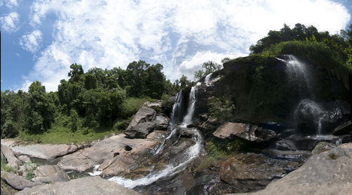 Panoramic view of trees against sky