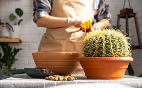 Midsection of woman holding potted plant