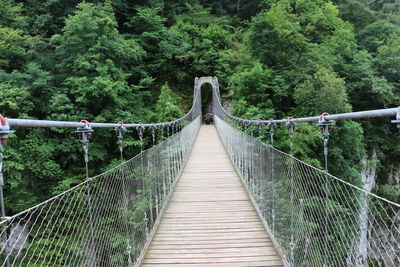 Footbridge over river with trees in background