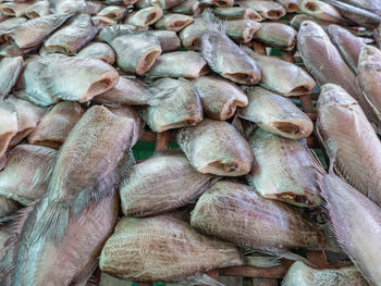 Full frame shot of onions for sale at market stall