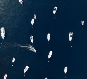 High angle view of boats moored in sea