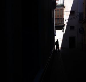 Silhouette of man walking on building