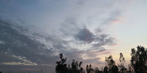 Low angle view of silhouette trees against sky during sunset