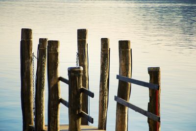 Wooden posts in the lake