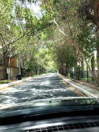 Road amidst trees seen through car windshield