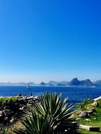 Scenic view of sea against clear blue sky