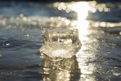 Close-up of ice crystals against sea during sunset