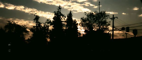 Silhouette trees against sky at night