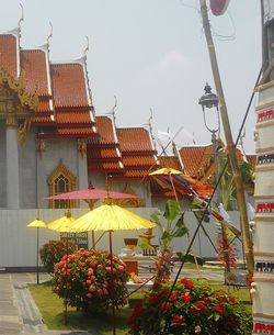 Low angle view of traditional building