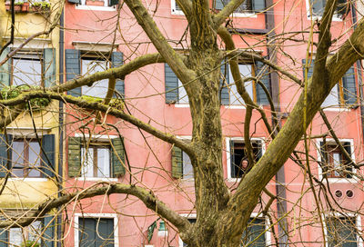 View of buildings in city