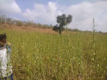 Scenic view of field against sky