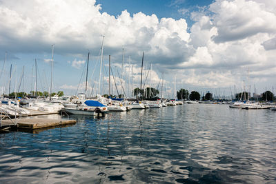 Sailboats moored in harbor