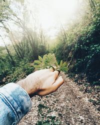 Midsection of person by plants on land