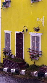 Yellow door of building