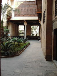 Potted plants on footpath outside building