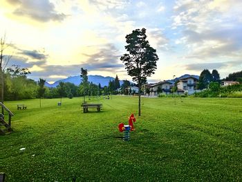 Scenic view of grassy field against sky