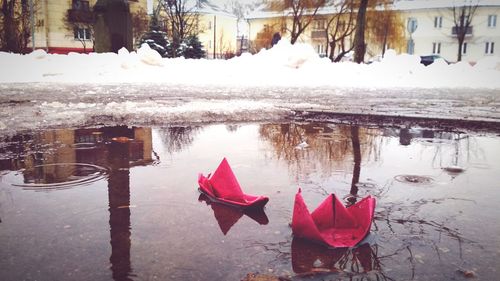 reflection