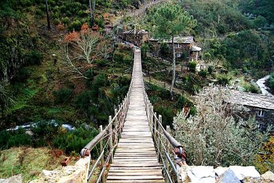 Footbridge amidst trees