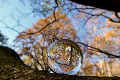 Low angle view of crystal ball against sky