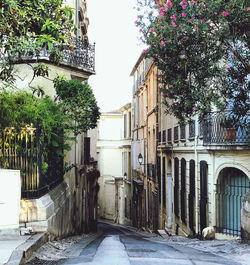 Street amidst trees and buildings in city