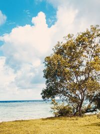 Scenic view of sea against sky