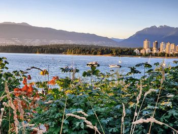 Scenic view of lake and mountains against clear sky