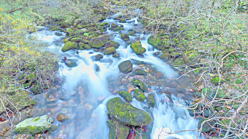 Scenic view of waterfall in forest