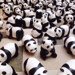 High angle view of panda toys on floor