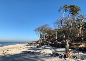 Scenic view of sea against clear blue sky