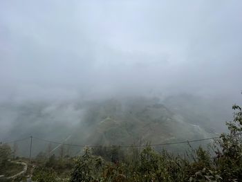 fog