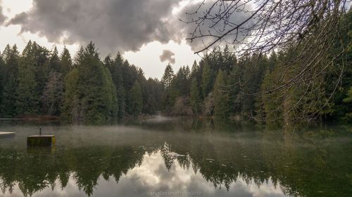 Scenic view of lake in forest against sky