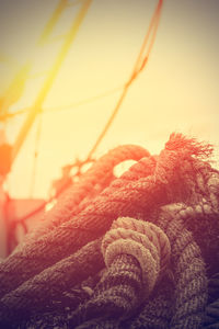 Close-up of rope on snow