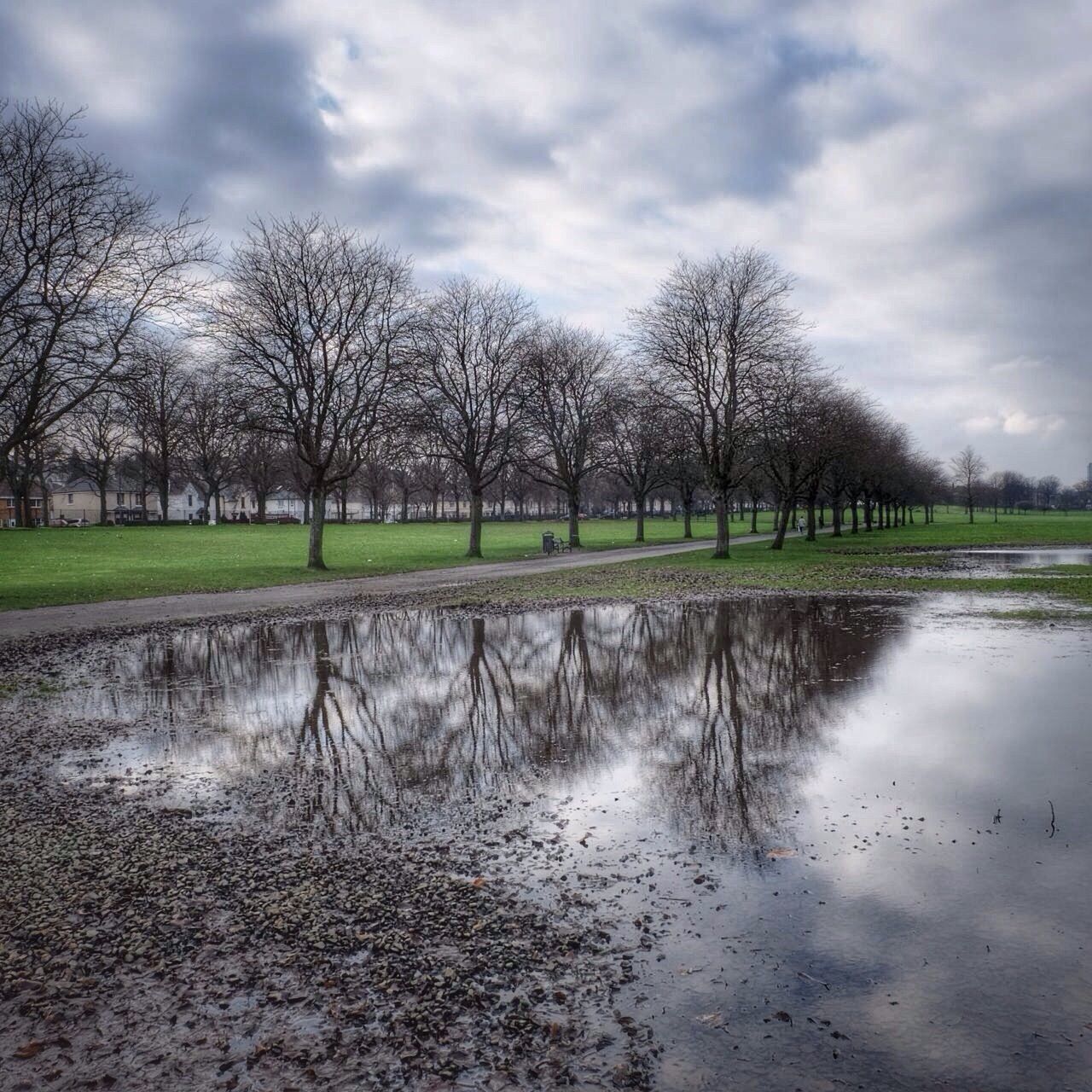 bare tree, tree, sky, cloud - sky, tranquility, cloudy, tranquil scene, grass, water, nature, scenics, beauty in nature, weather, field, landscape, cloud, reflection, overcast, branch, lake