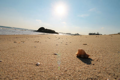 Surface level of sandy beach against sky on sunny day