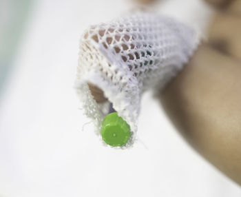 High angle view of a white flower