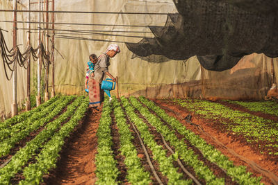 Man working in farm