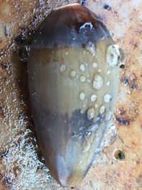 High angle view of coffee in water