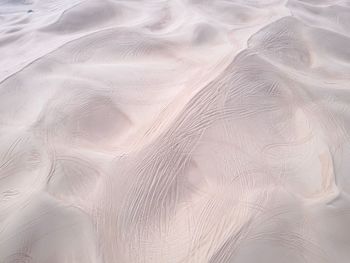 Full frame shot of feather