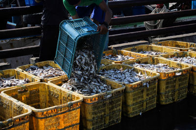 Midsection of market vendors and fish for sale at market stall